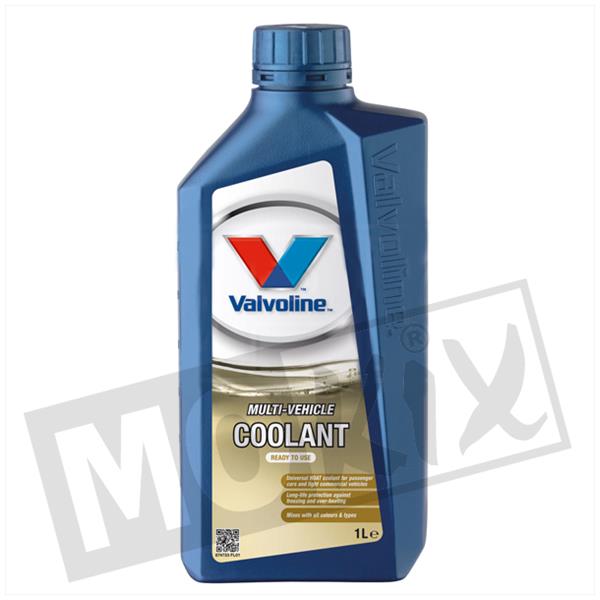 Koelvloeistof Valvoline Coolant -36° 1L