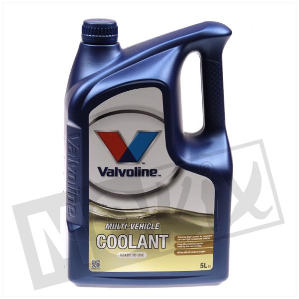 Koelvloeistof Valvoline Maxlife -36° 5L